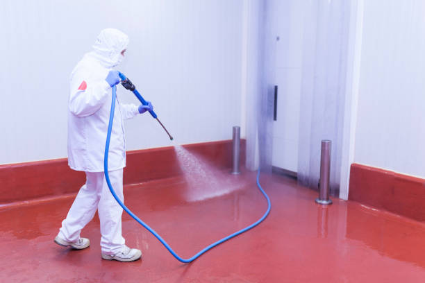 Best Soft Washing  in Marion, OH